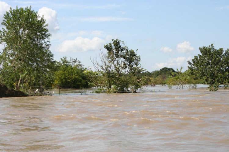 Un río en el nivel de inundación, desbordando sus orillas.