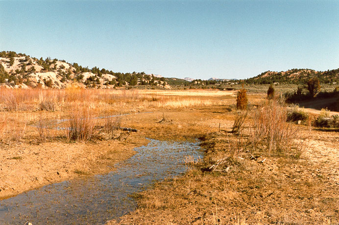 Un pequeño arroyo o riachuelo, aguas arriba de Sheep Creek Barrera Dam, Utah.