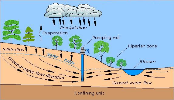 An initially influent (gaining) stream has become partially effluent (losing) towards the pumping well, reducing its baseflow.