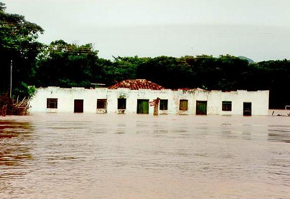 Flood stage on the Rio Cuiaba, Mato Grosso, Brazil, January 15, 1995.