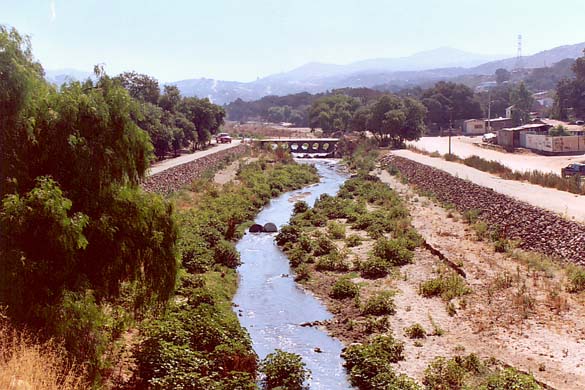 Levees on Tecate Creek, Baja California, Mexico.