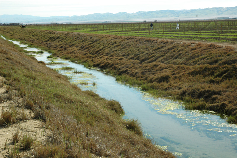 Drain at Penoche irrigation district, San Joaquin valley, California