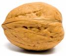 walnut #3